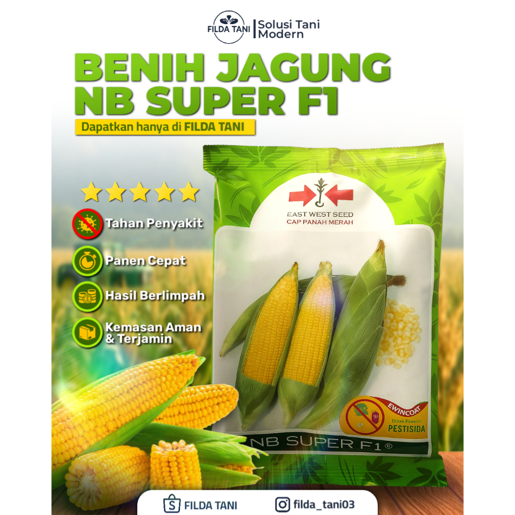 

NB Super F1 — Bibit Jagung Manis 250 Gram — Panah Merah