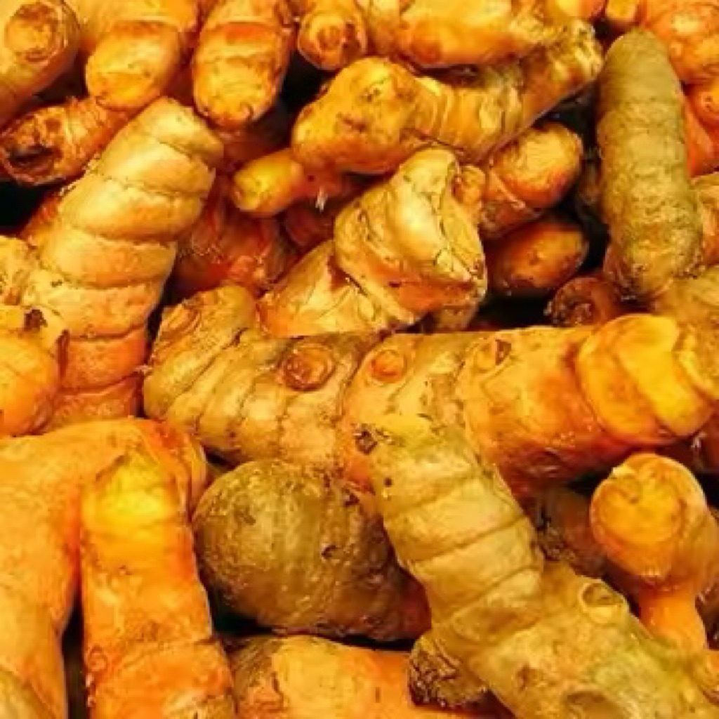 

(PAKET HEMAT)Kunir/ Kunyit Segar 500g