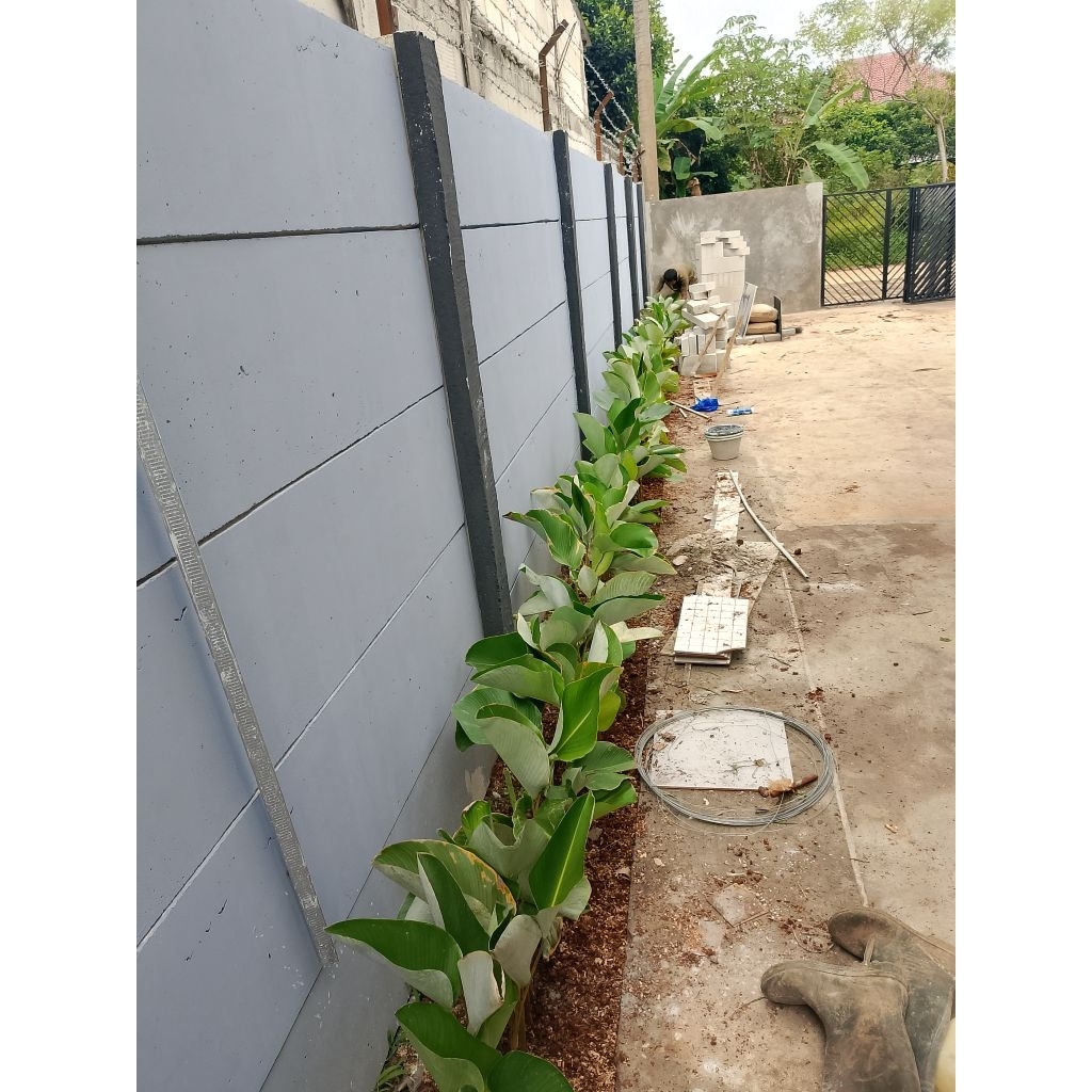 

CALATEHA PISANG"AN