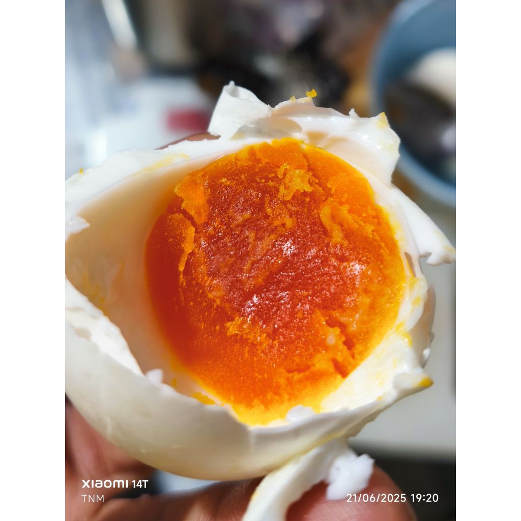 

TELUR BEBEK ASIN MATANG / MASAK PREMIUM ISI 10 BUTIR