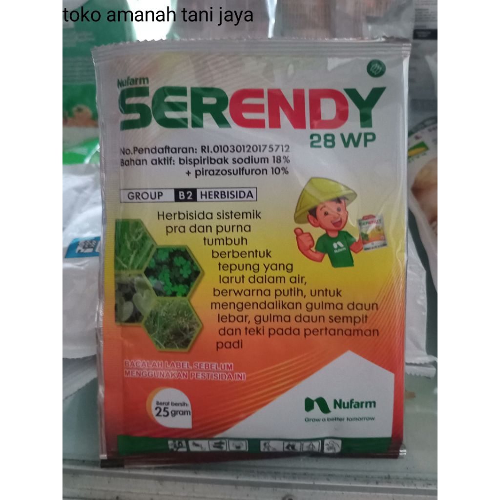 serendy