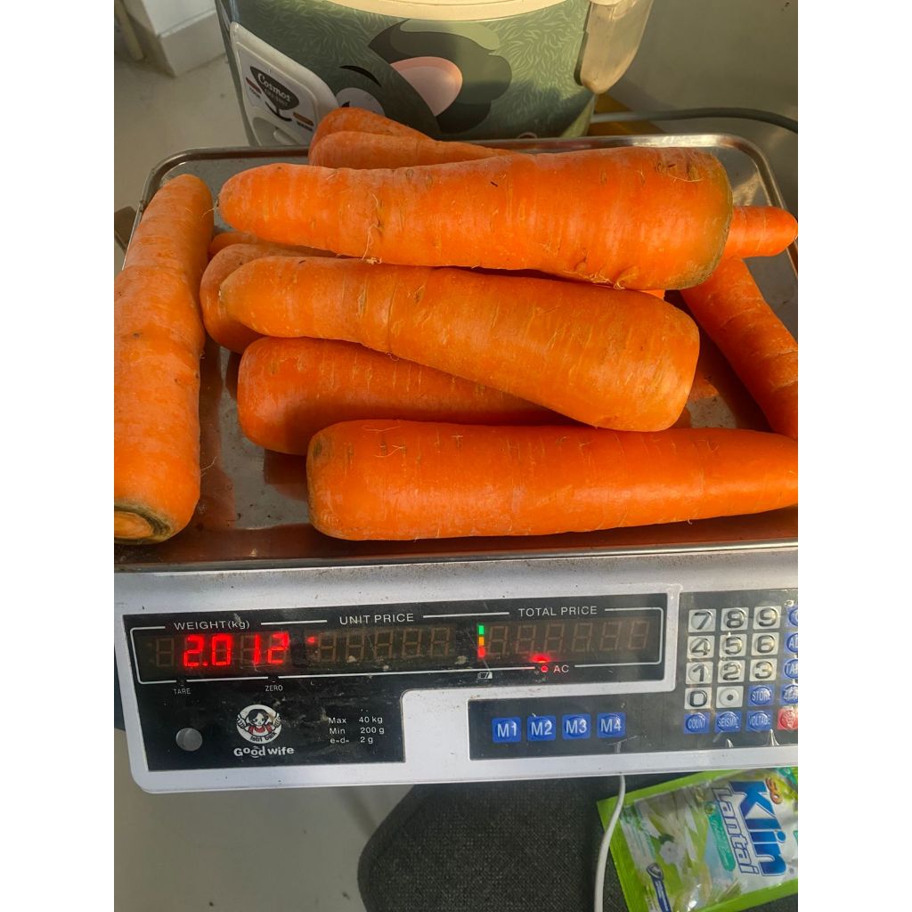 

Wortel Premium Fresh Ukuran M / Carrot Berat 1 kg Termurah