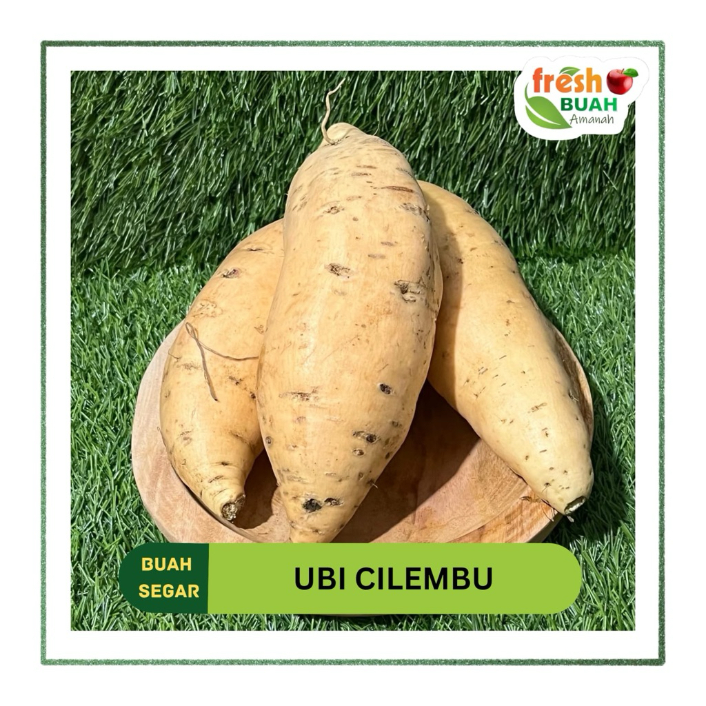 

Ubi Cilembu Ubi Madu | Ubi Cilembu 1 kg | Umbi-Umbian | Manis | Fresh Buah Amanah