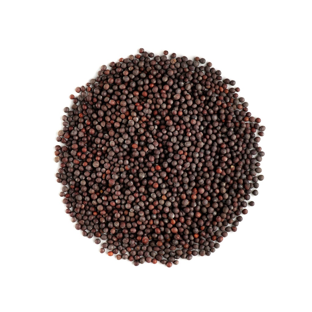 

biji sawi hitam black mustard seed