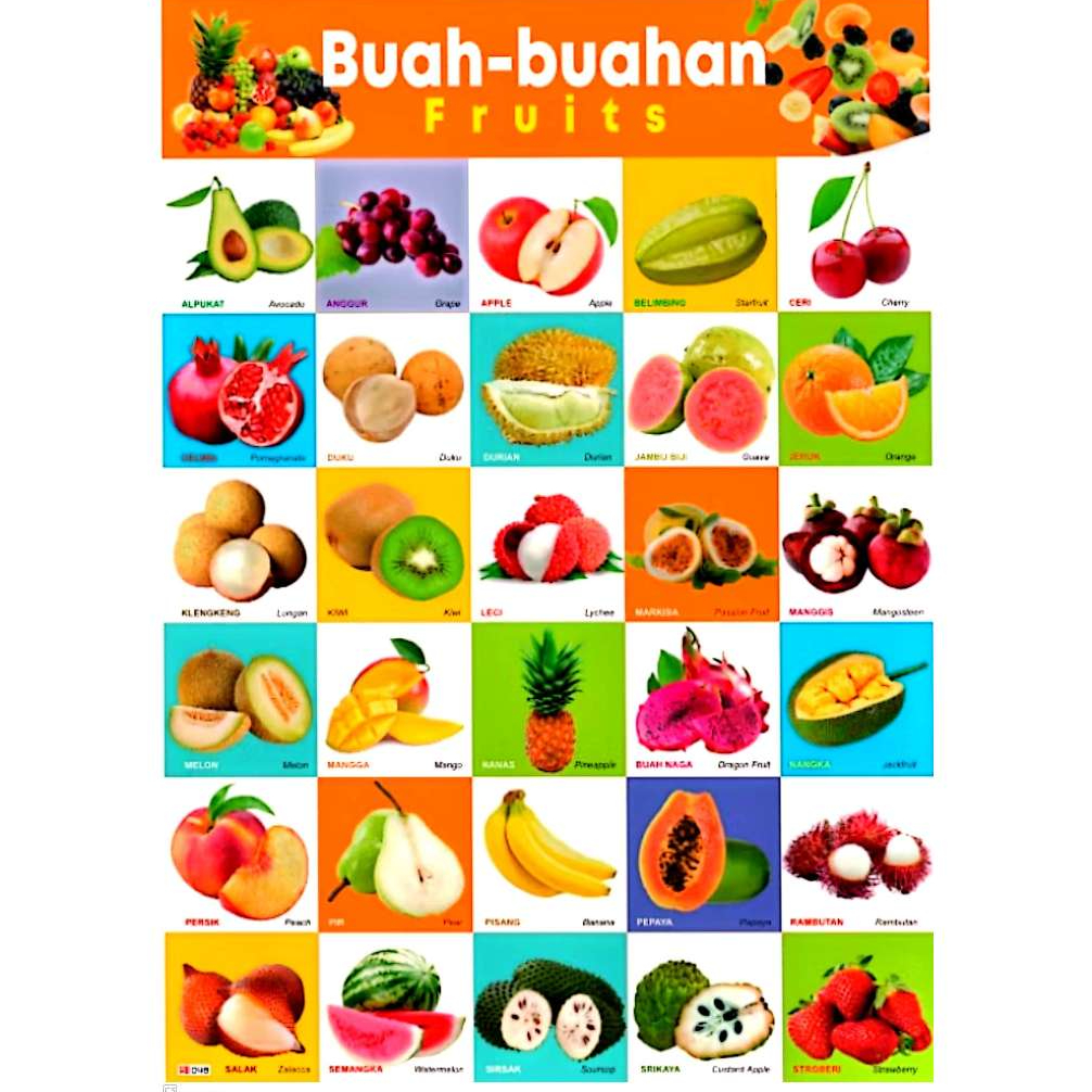 Poster Edukasi Anak Lengkap Banyak Pilihan Gambar | Poster Edukasi Anak Terlaris