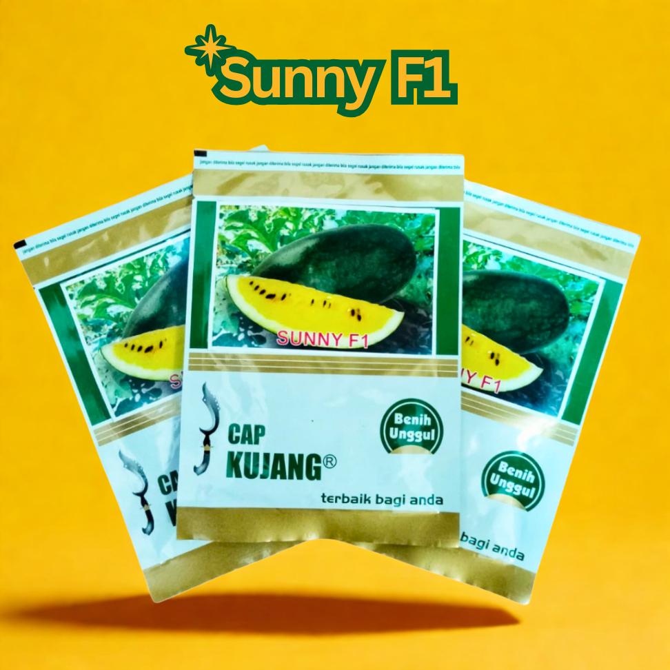 Benih Semangka Inul Kuning SUNNY F1 CAP KUJANG ±500 Biji Tahan Virus Buah Besar