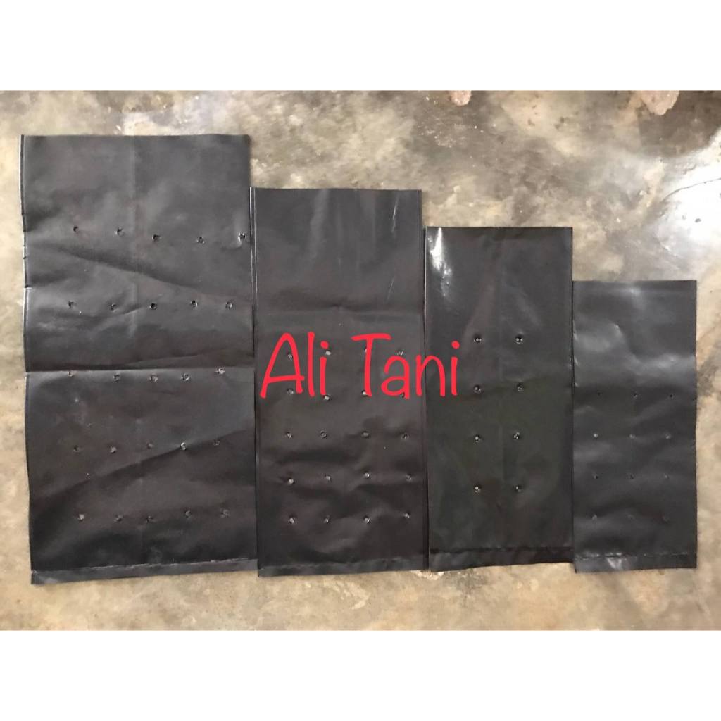 (100 GR) POLIBAG POLYBAG STANDARD untuk Tanaman Sayur dan Buah/Polybag/Polibek/Media Tanam/Semai
