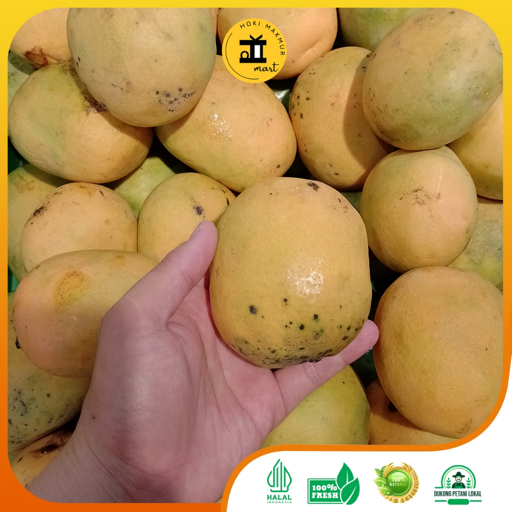 

Mangga Gincu 1 Kg Premium
