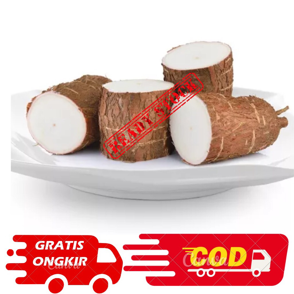 

Jual 1kg Umbi Singkong Asli Petani-Segar dan Alami Langsung dari Kebun