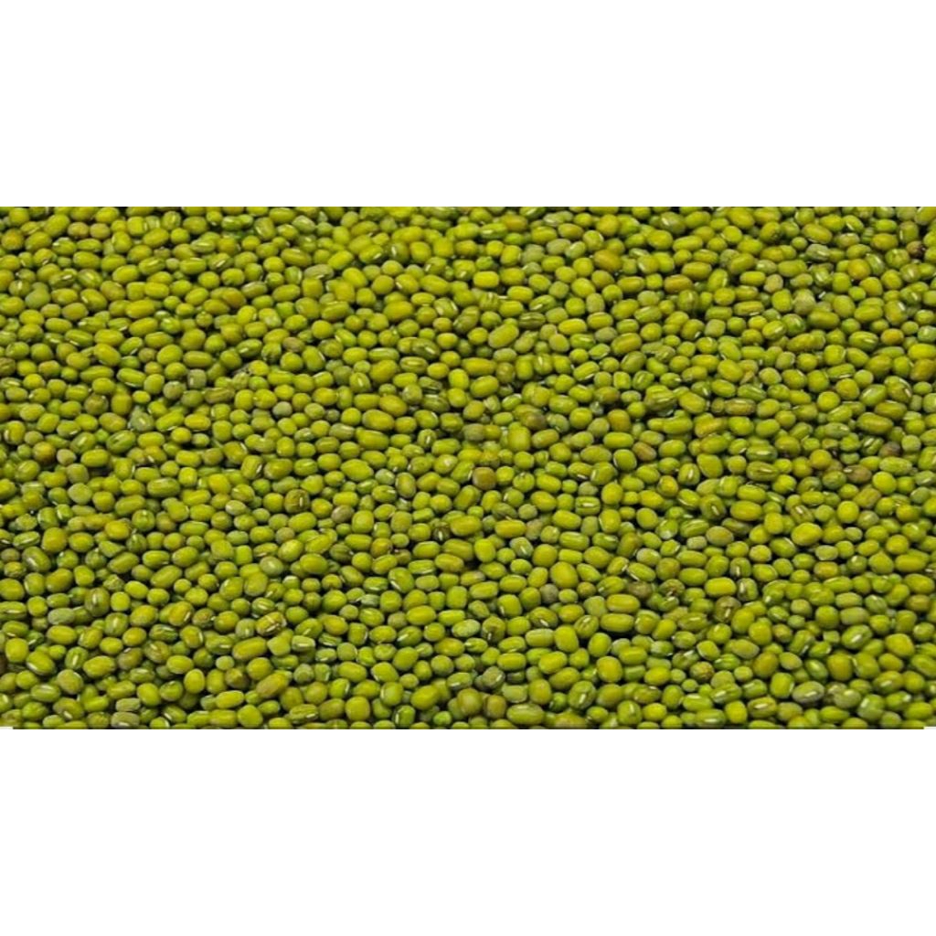 

kacang hijau fresh 1 kg|kacang ijo super|kacang ijo bubur|kacang ijo baru