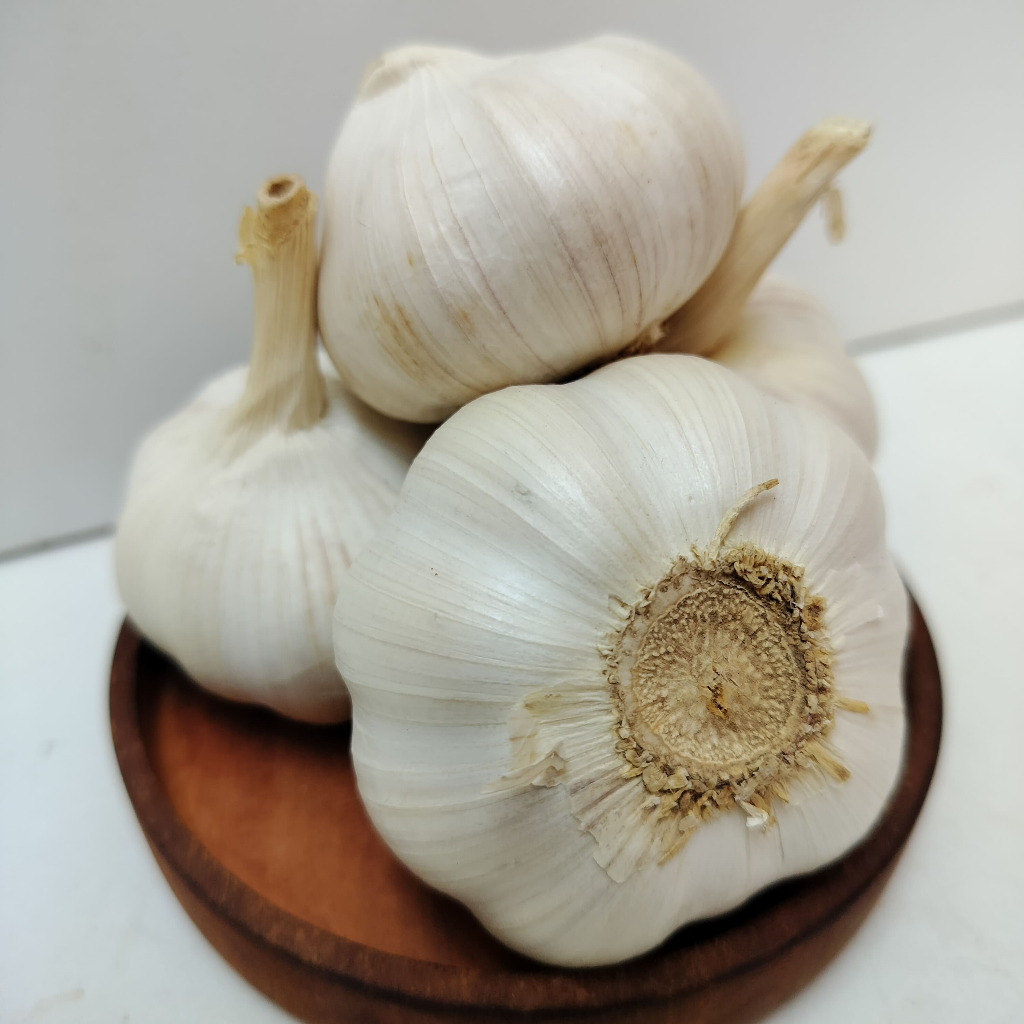 

BAWANG PUTIH BIASA FRESH GARLIC BAWANG PUTIH BERSIH SUPER