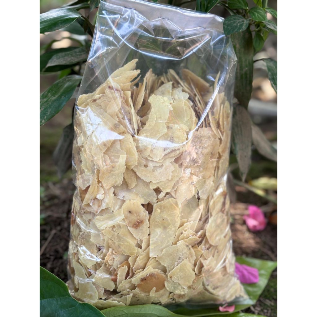 

EMPING SOTIRAN/EMPING PATAHAN/EMPING MENTAH