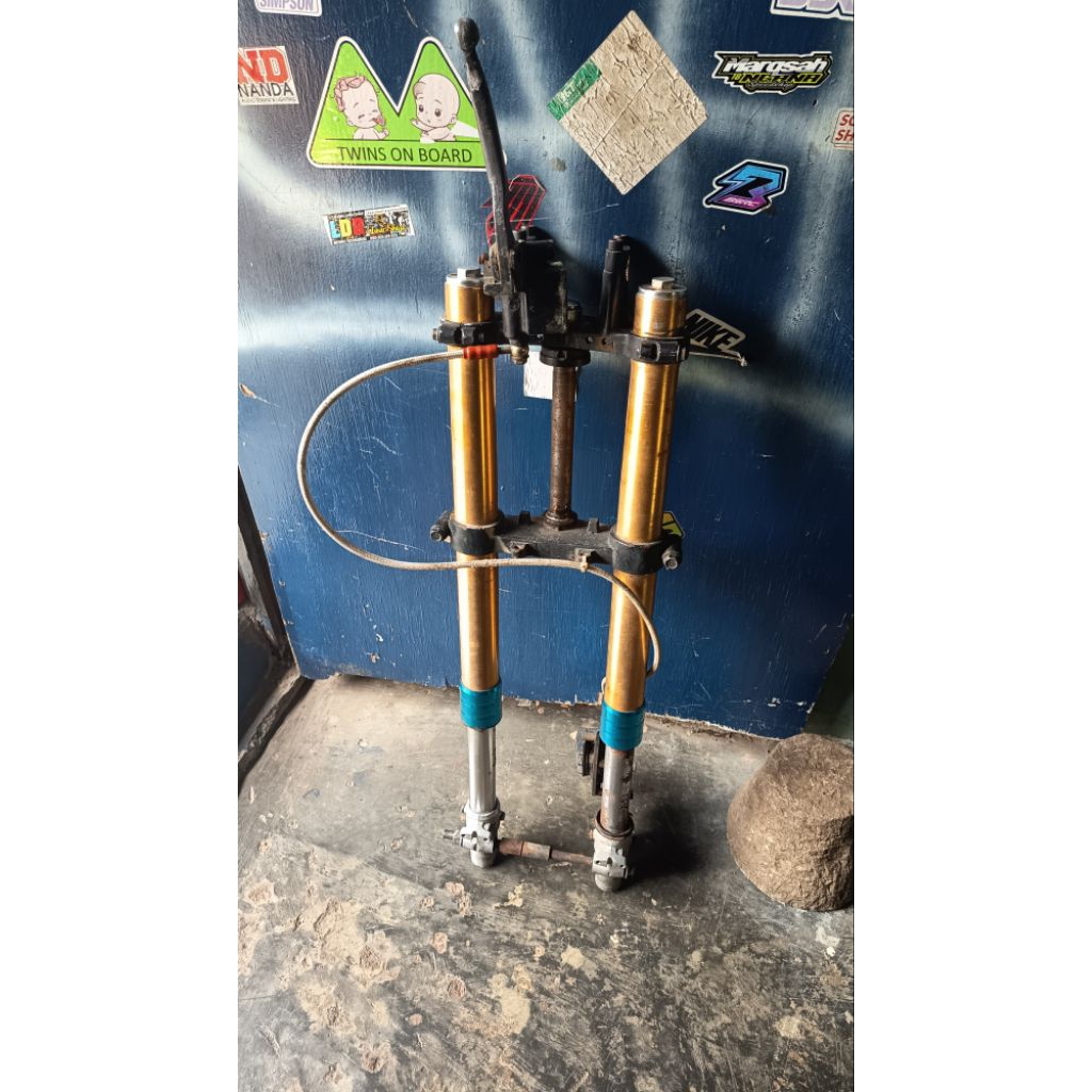 Shok USD pnp GL megapro Tiger