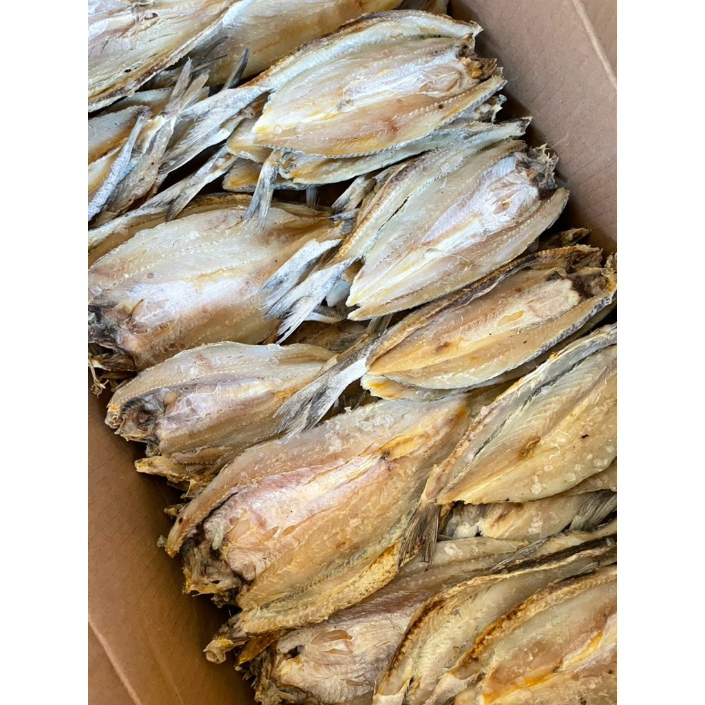 

ikan bloso asin/ikan gabus laut kering super 1000g