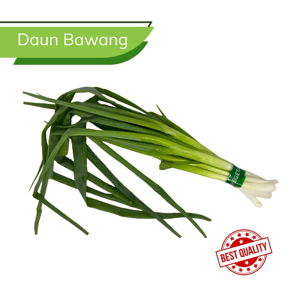 

Daun Bawang Fresh per Ikat