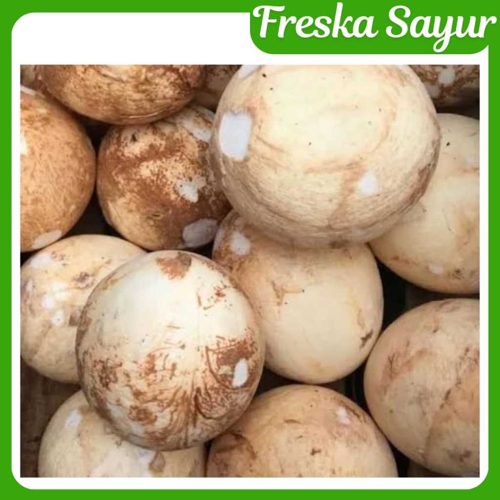 

Kelapa Kupas Bulat Utuh 1 Pcs