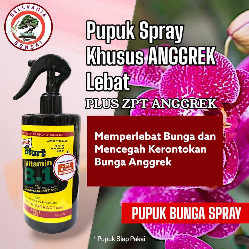Pupuk Anggrek Liquinox Start Pupuk Spray Khusus ANGGREK Lebat 500ml Plus ZPT Anggrek