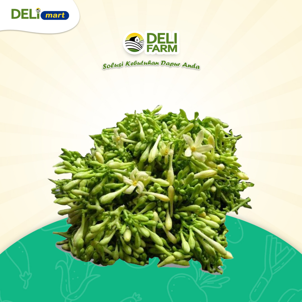 

Deli Mart [Khusus INSTAN Medan] Bunga Pepaya Segar/ Bunga Gandul Segar/ Bunga Kates Segar by Deli Farm