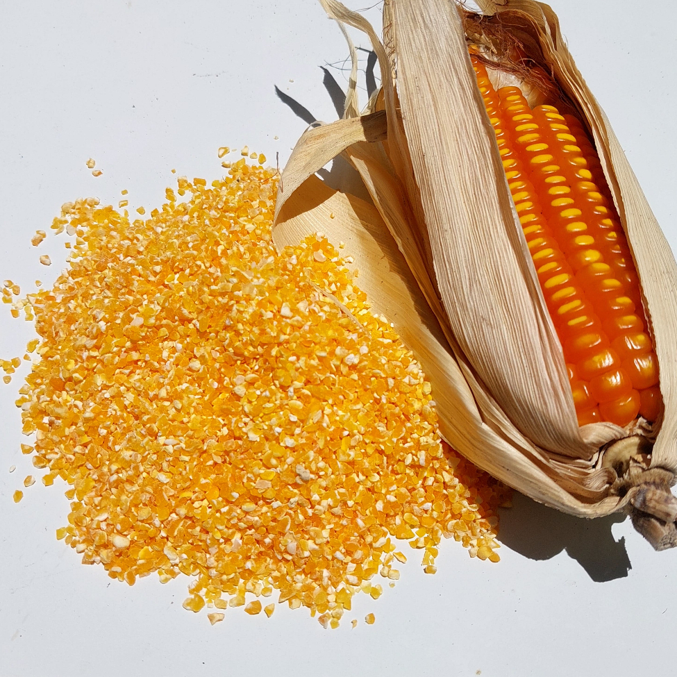 

Beras Jagung Asli Organik tanpa campuran apapun berat 500 gram