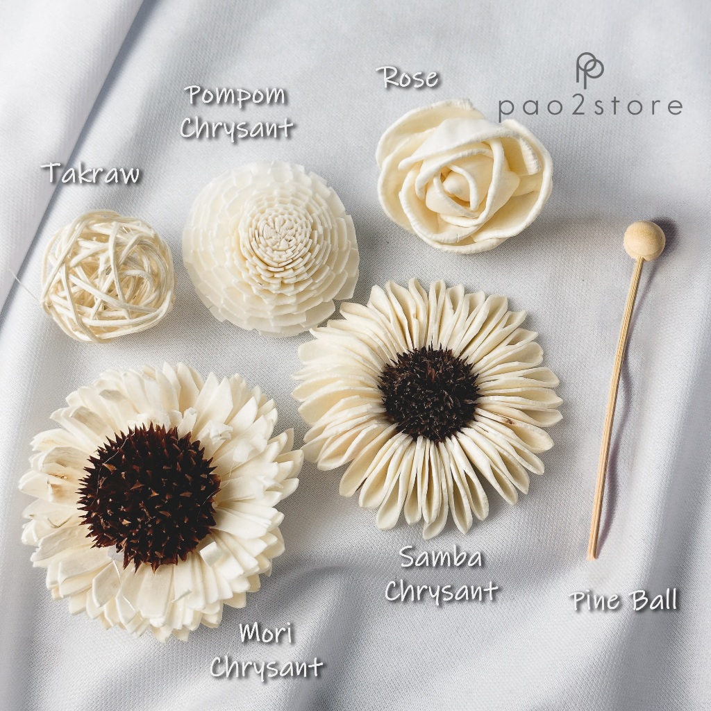 Bunga Reed Diffuser - Sola Flower - Kering / Dried Klobot Wood - Ornamen / Hiasan / Aksesoris Pengha