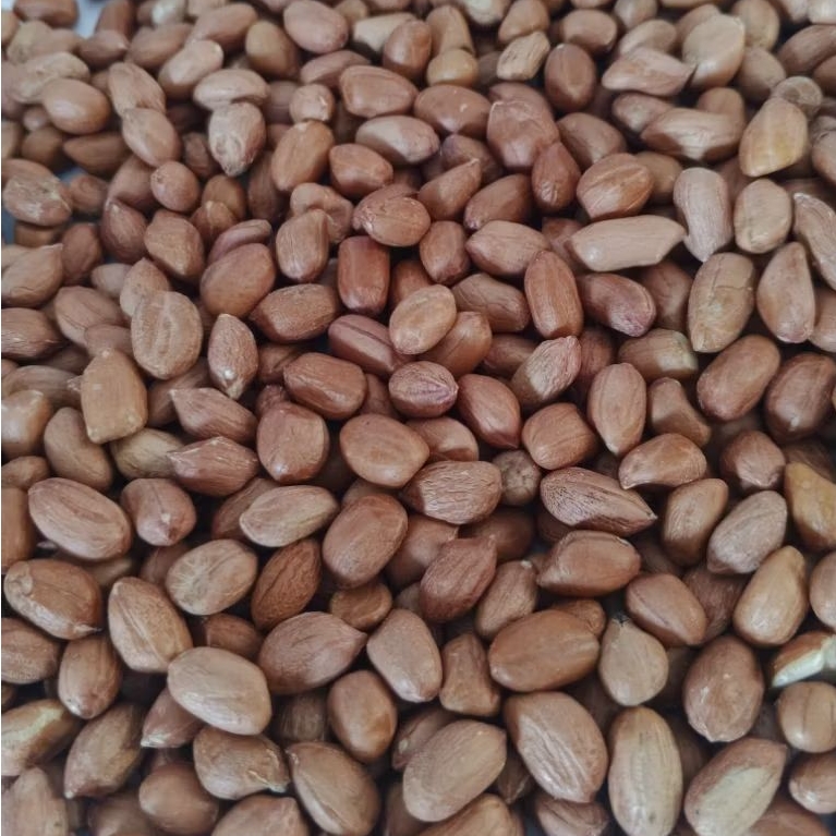 

KACANG TANAH MENTAH 1 KG