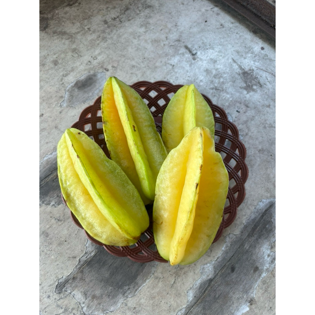 

buahfreshku - belimbing manis 500 g