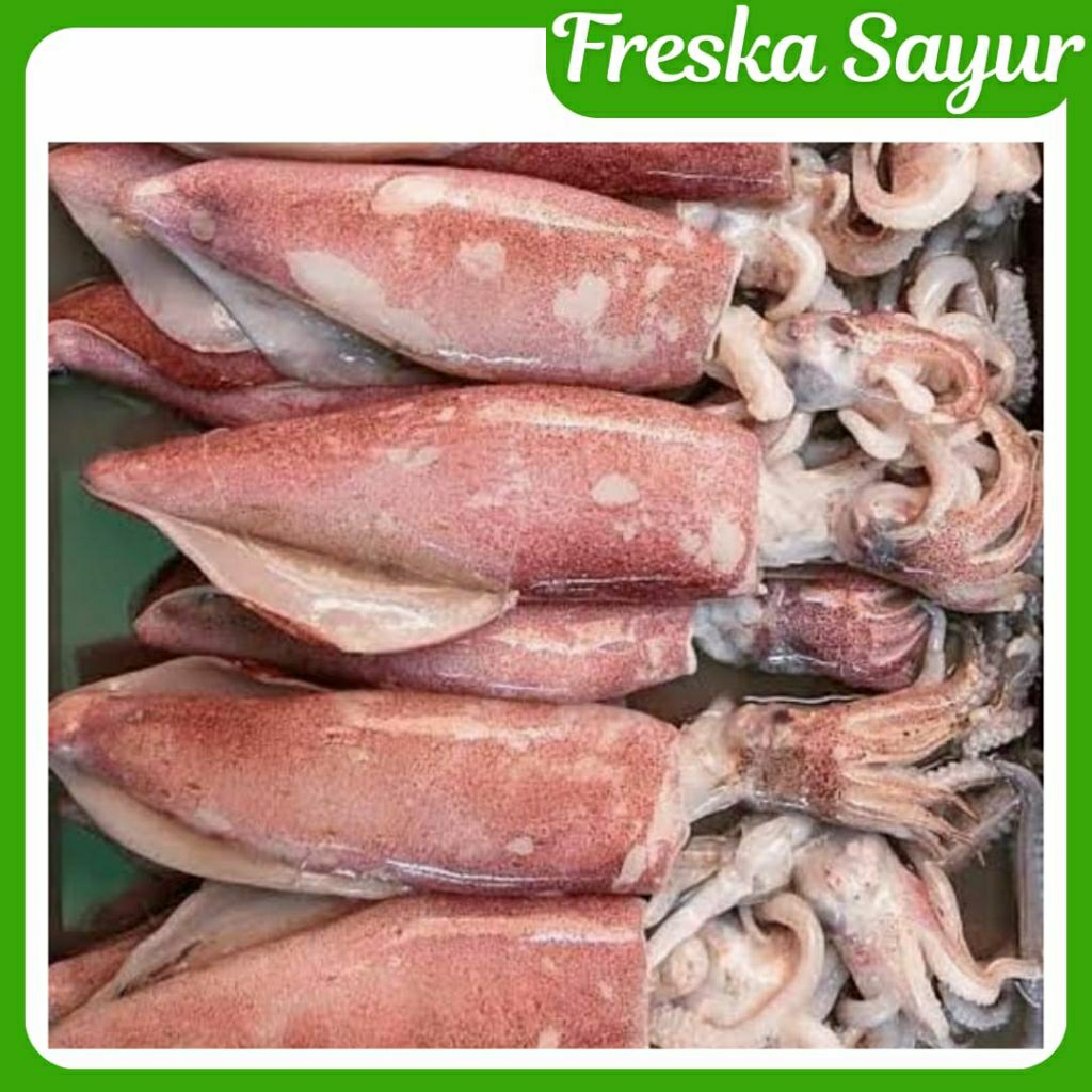 

Cumi Basah Fresh Ukuran Besar 1 Pack