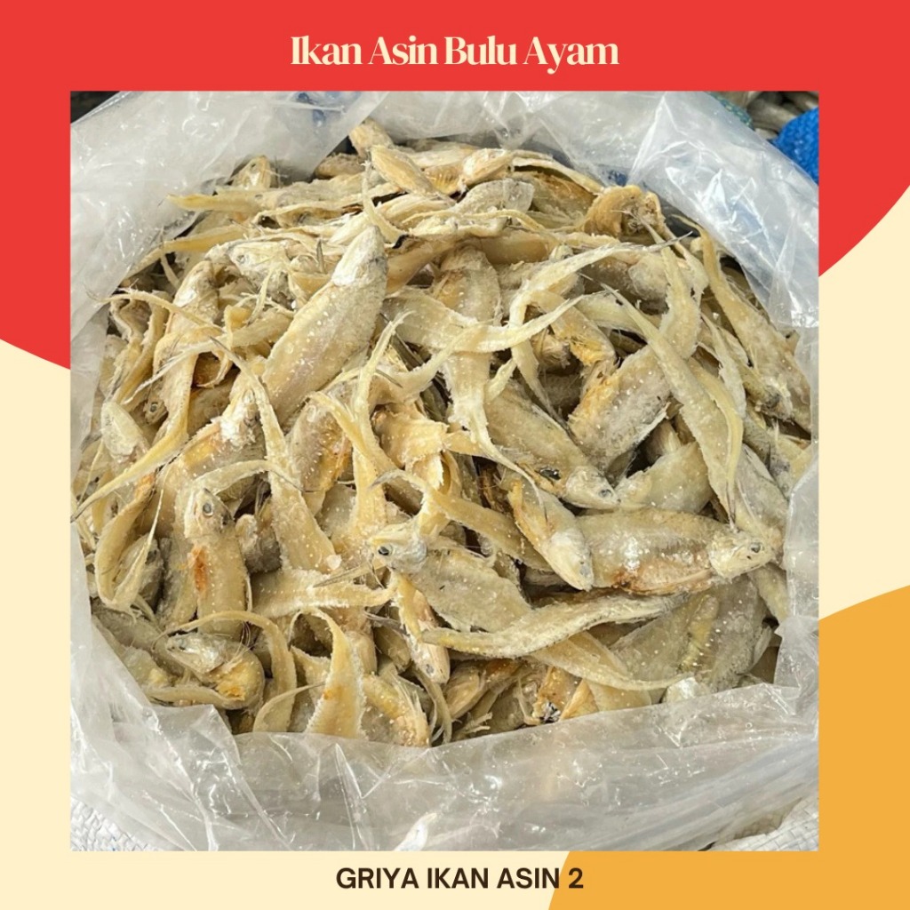 

ikan asin bulu ayam super/ikan asin bulu bebek-entok termurah