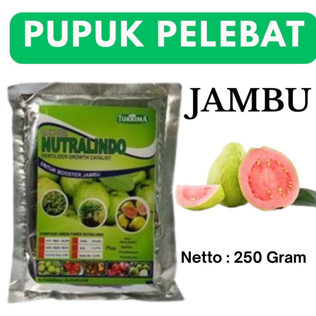 BOOSTER Pupuk Pelebat Nutralinindo Jambu,Nutrisi perangsang pelebat buah jambu air ,pupuk organik bu