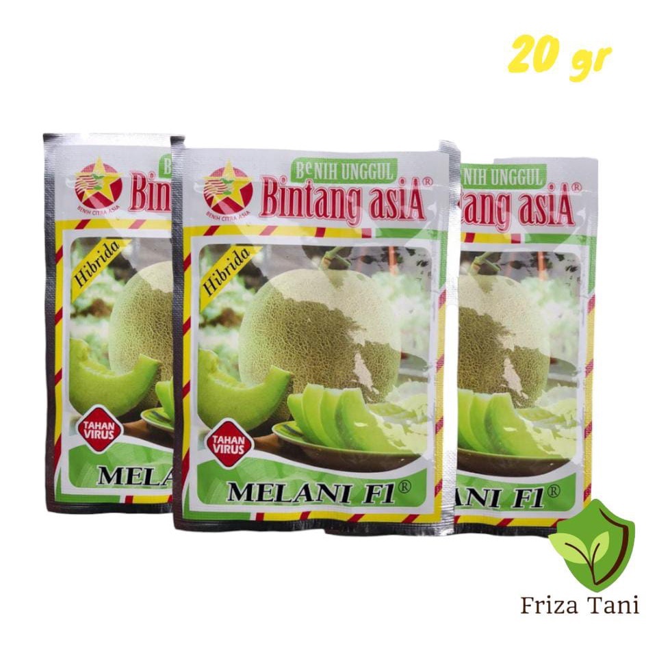 

Melani 20gr Benih Melon BIntang Asia