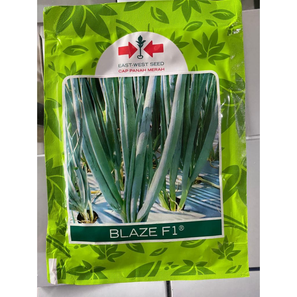 benih daun bawang merah blaze f1 cap panah merah 10 gram