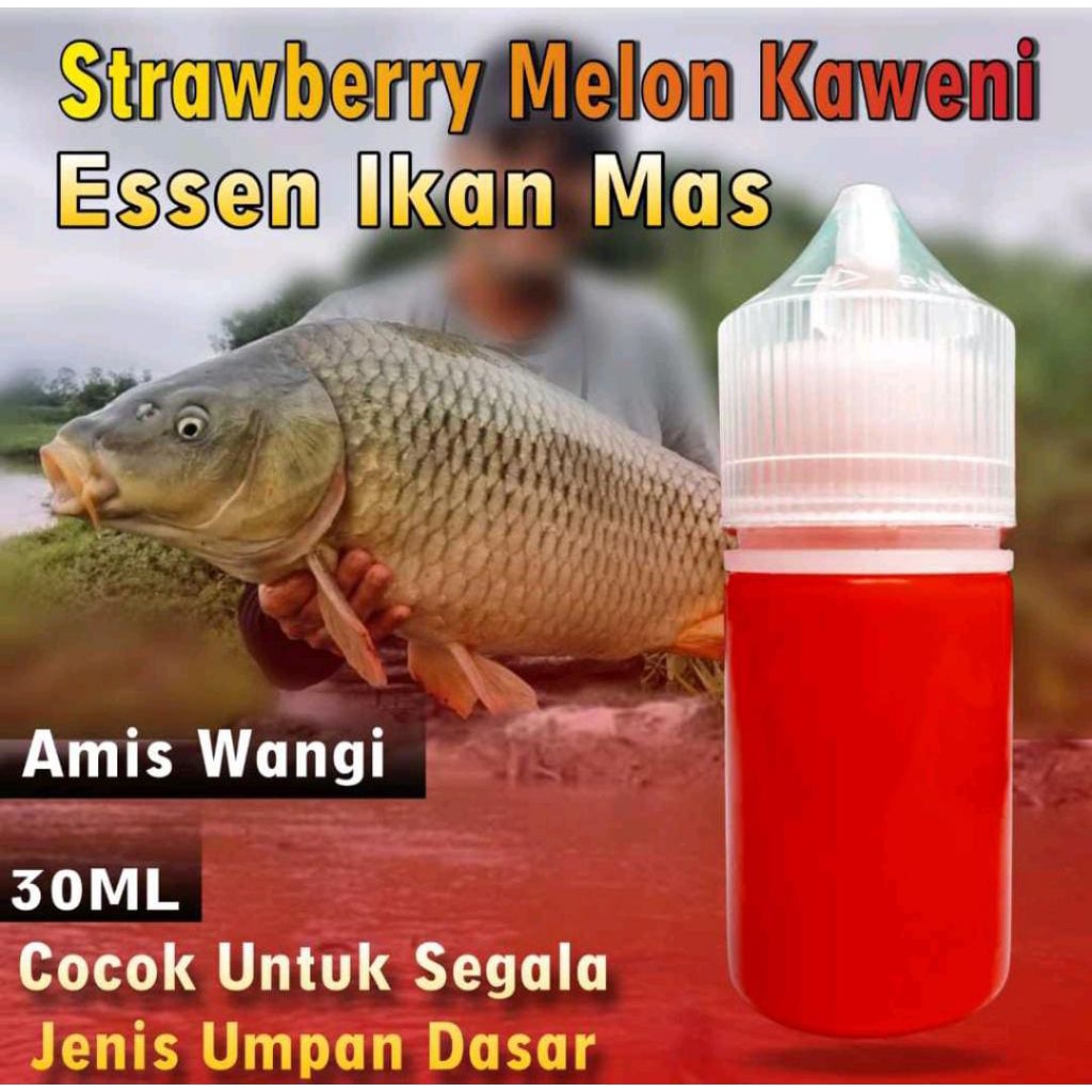 Essen Ikan Mas Babon Rame ,Essen Oplosan Aroma Stoberi  Melon Kweni Essen Khusus Ikan Mas Cepat Stri