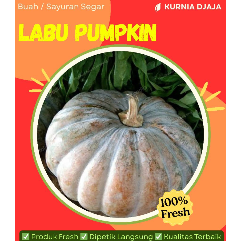 

Labu Kuning / Waluh berat 1,8 Kg sampai 2,2 Kg per buah
