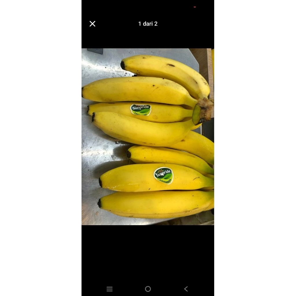 

pisang Sunpride