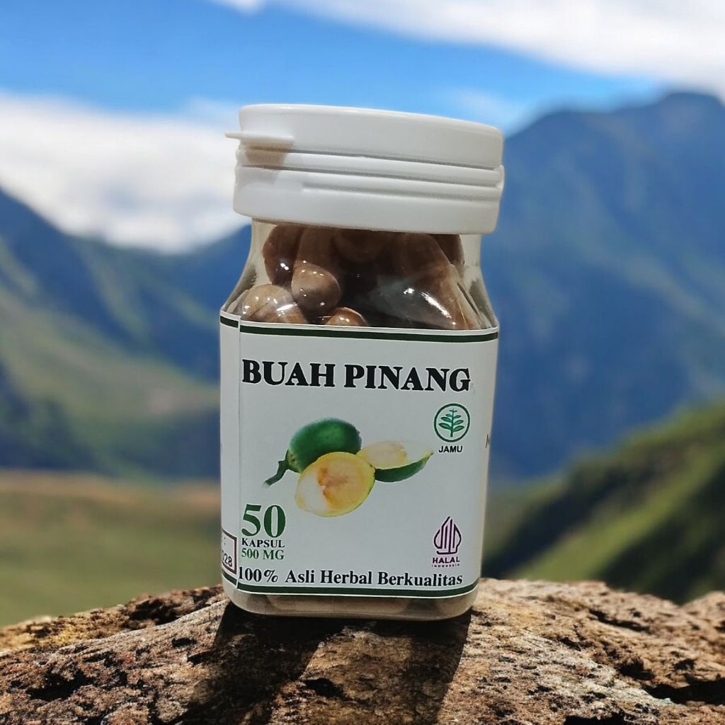 

Extrak Pinang Buah Pinang Muda Berkualitas Murni Kapsul Pinang
