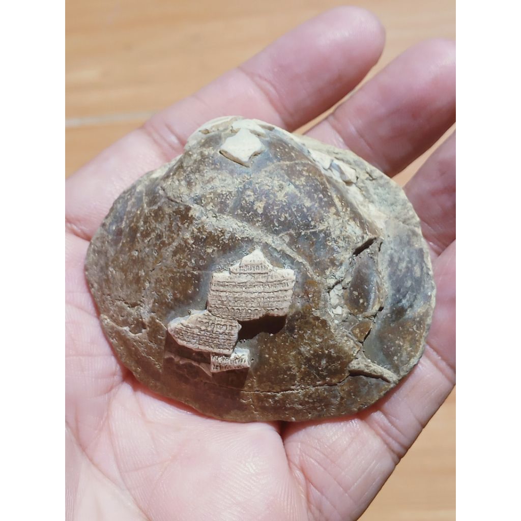 Batu Kijing Bungkem Unik Antik