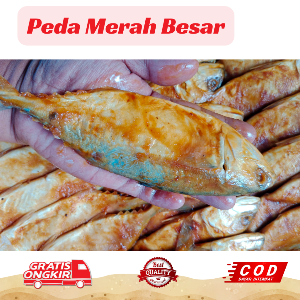 

PEDA MERAH BESAR 1 KG JUMBO BINTANG 1 IKAN ASIN FOOD