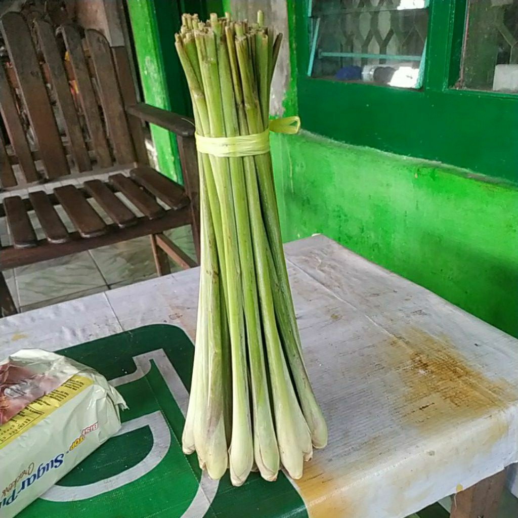 

sereh segar 1 ikat isi kurang lebih 30 batang berat kurang lebih 1kg
