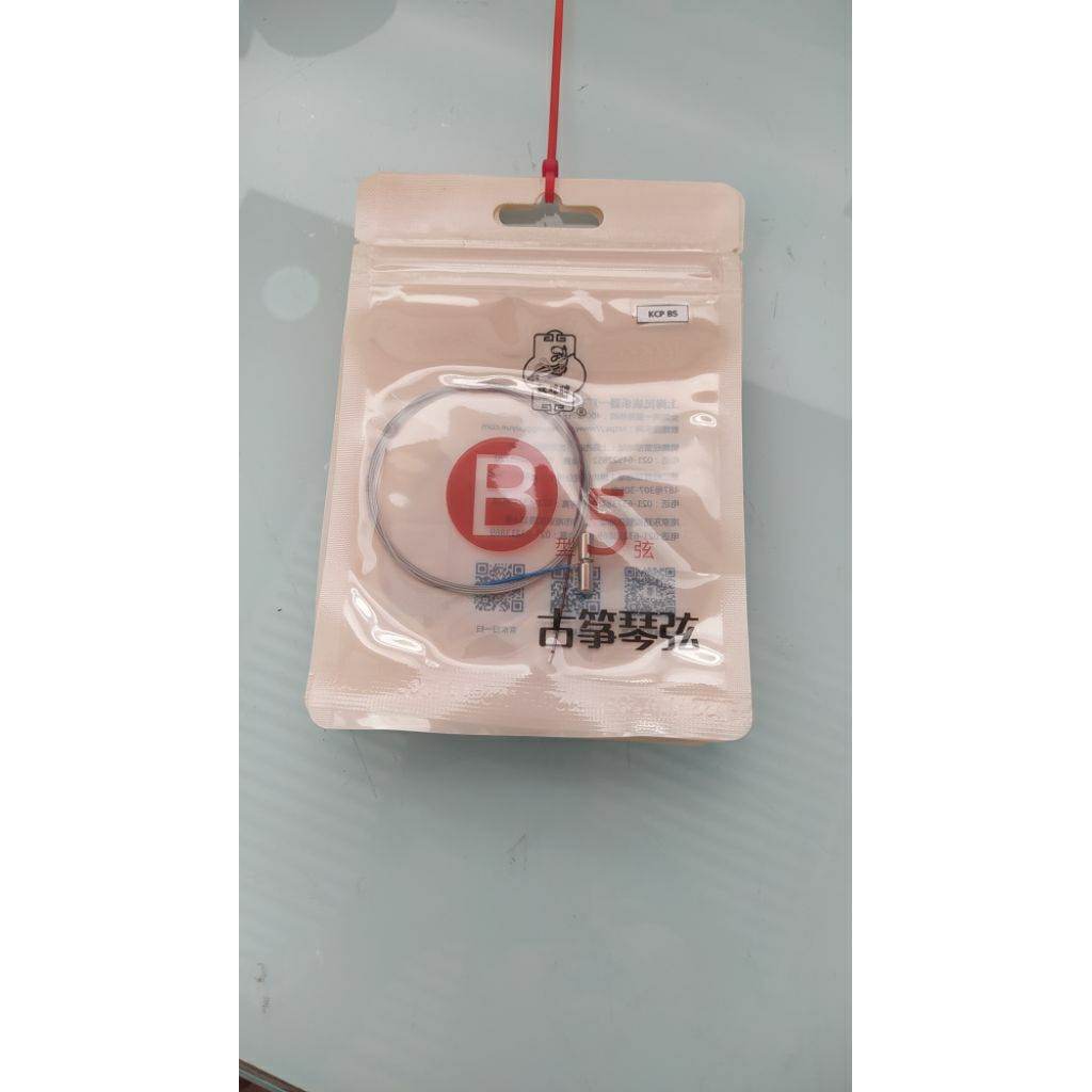 Senar Guzheng Kecapi Dunhuang B5