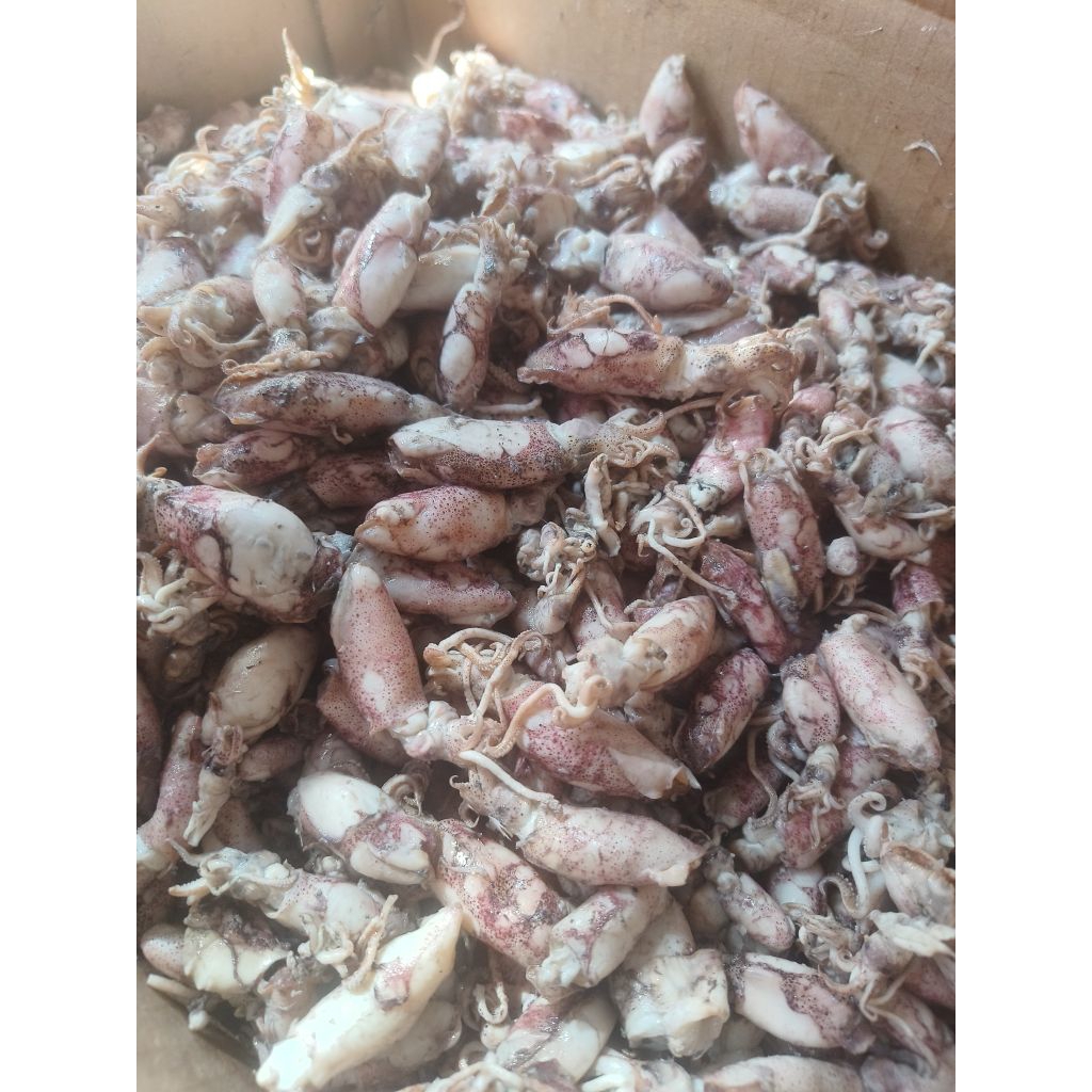 

CUMI ASIN BABY KERING 80 PERSEN