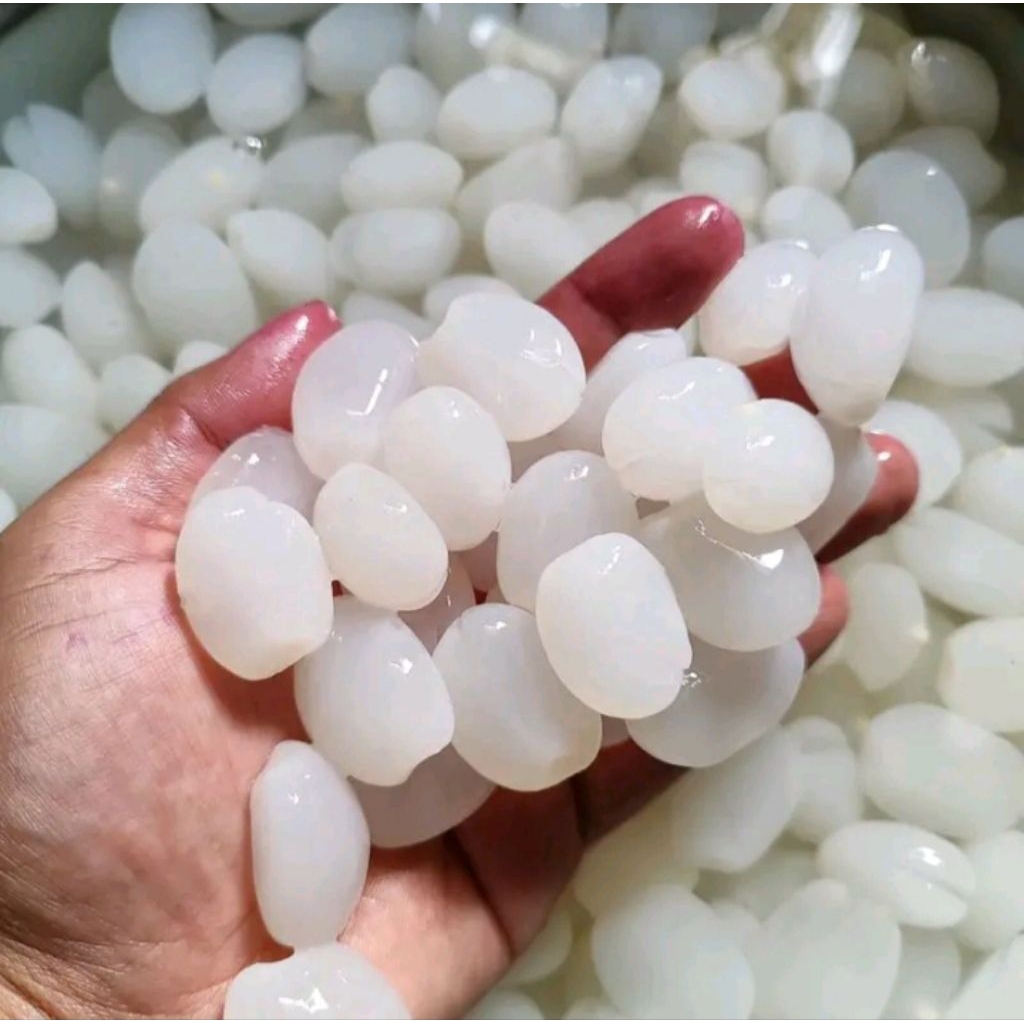 

kolang kaling mentah super 1kg fresh untuk berbagai manisan