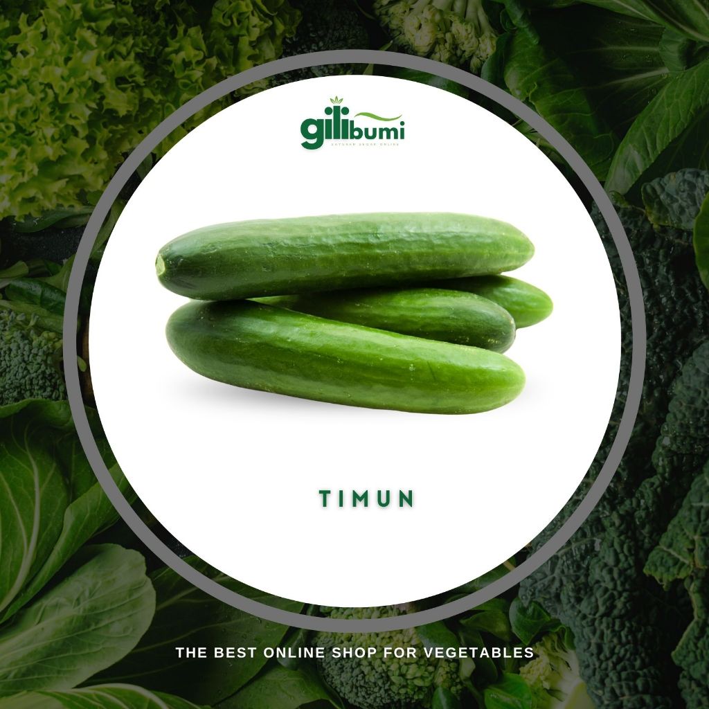 

Timun