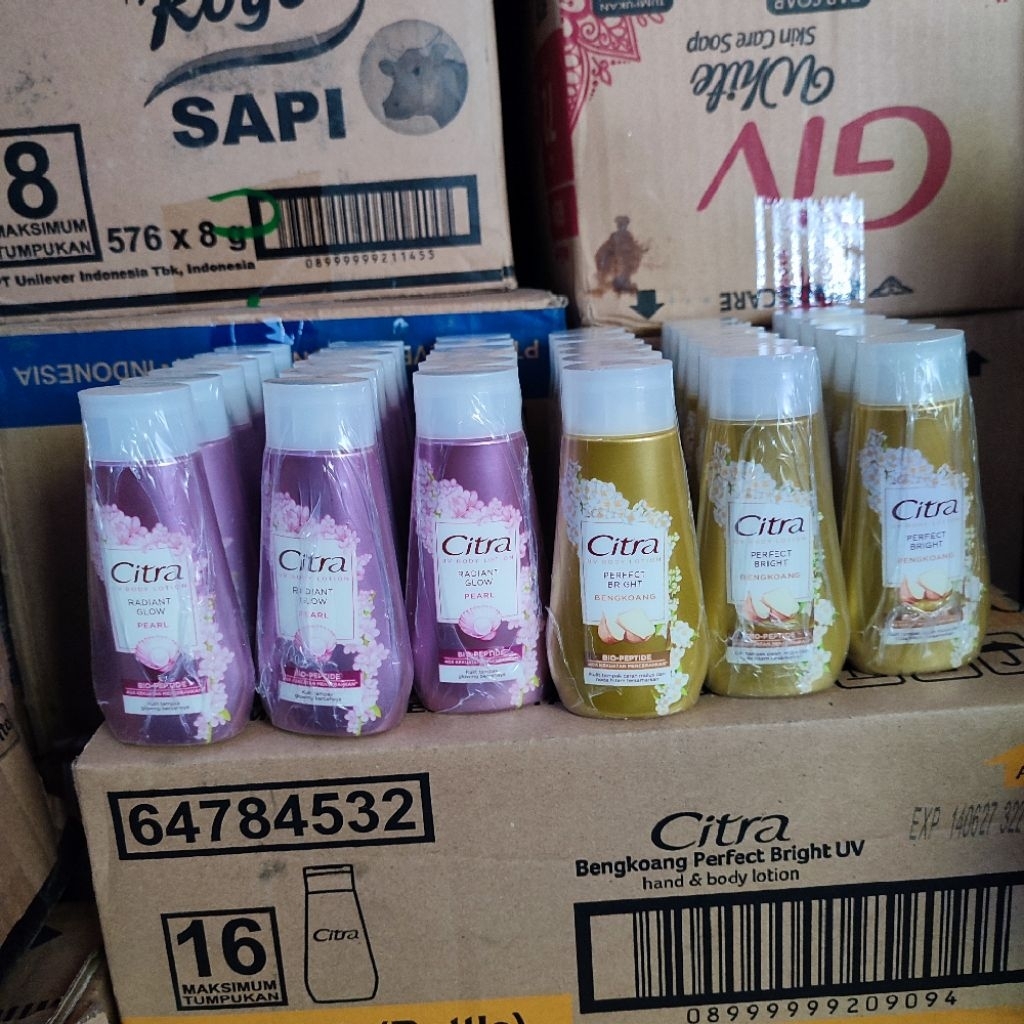 6 Pcs Handbody Citra 60ml