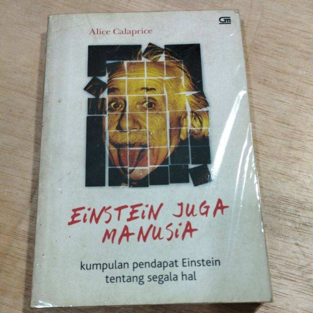 Buku Original Einstein Juga Manusia Kumpulan Pendapat Einstein Tentang Segala Hal