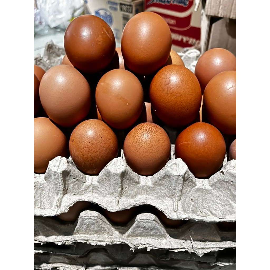 

TELUR AYAM SEGAR / TELUR AYAM LOKAL