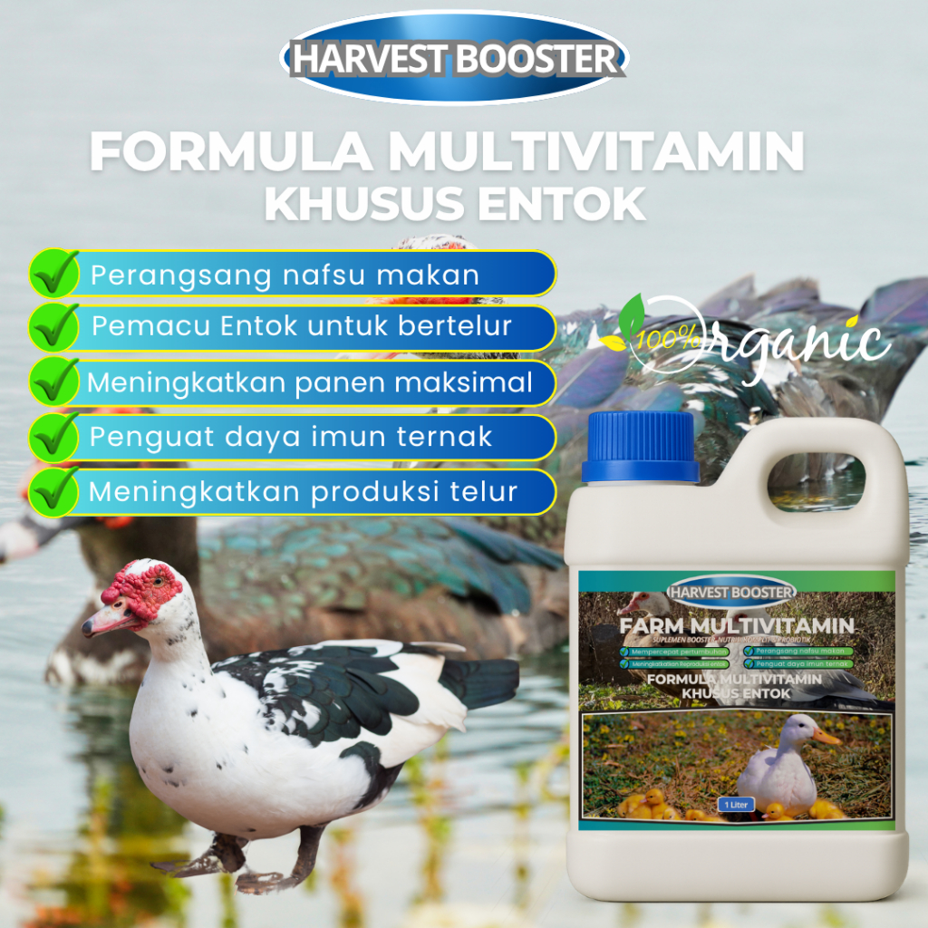 Multivitamin Entok Vitamin pemacu entok bertelur lebih cepat reproduksi untuk hasil lebih maksimal
