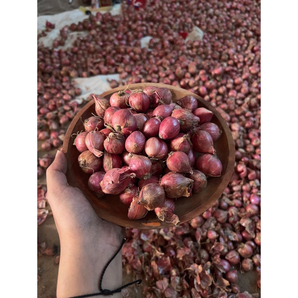 

Bawang Merah|Brambang Lokal Nganjuk