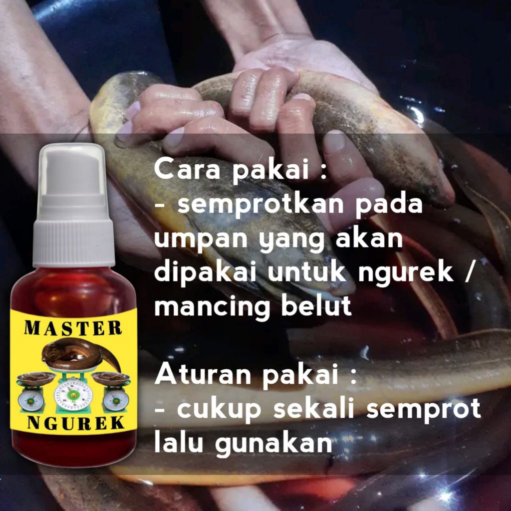 Essen Belut Master Ngurek