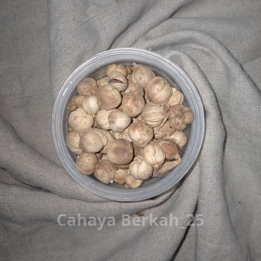 

Kapulaga Kering - Cardamom - Asli Tanpa Pemutih - 100% Berkualitas