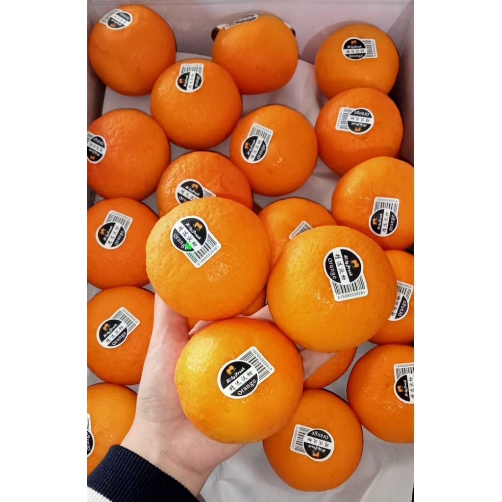 

JERUK WOGAN HOLLYFRESH 1 KG